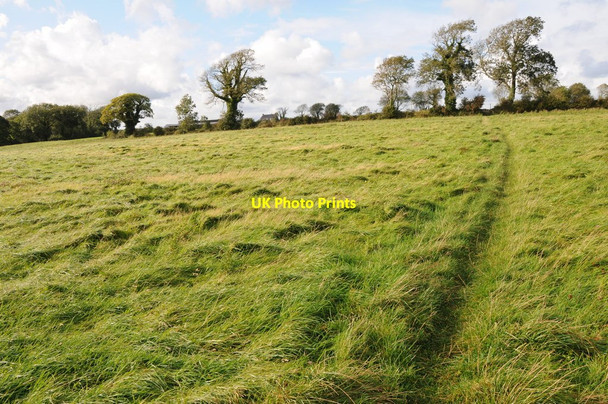 Photo 6"x4" Footpath to Carew Newton Carew Newton c2011