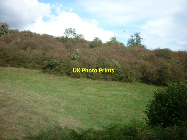 Photo 6"x4" A wood on the outskirts of Wribbenhall Bewdley\/SO7875 c2011