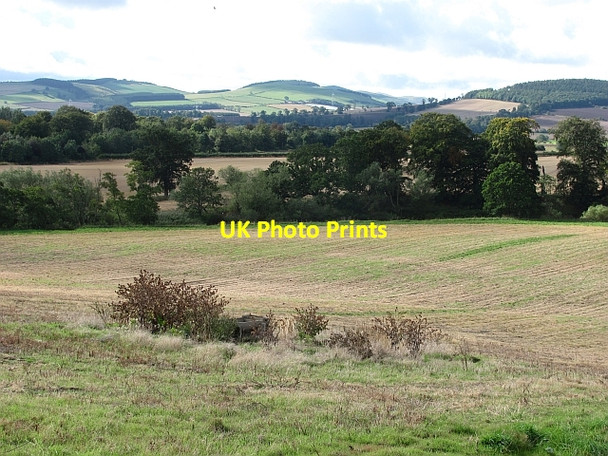Photo 6"x4" Stubble near Ford Ford\/NT9437 c2011