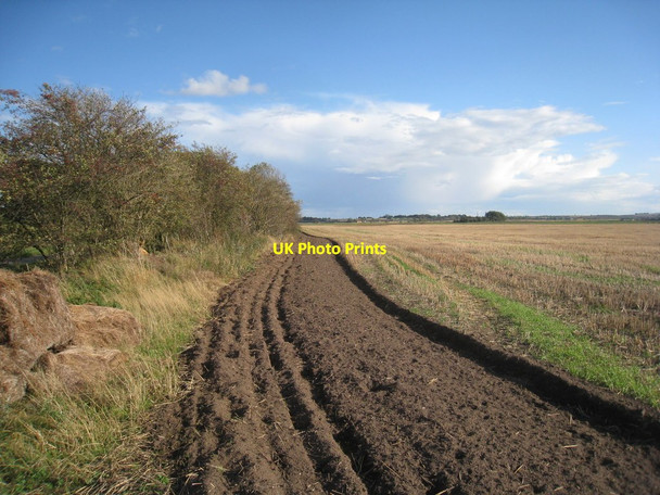 Photo 6"x4" Behind the hedge Langholme\/SK7597 c2011