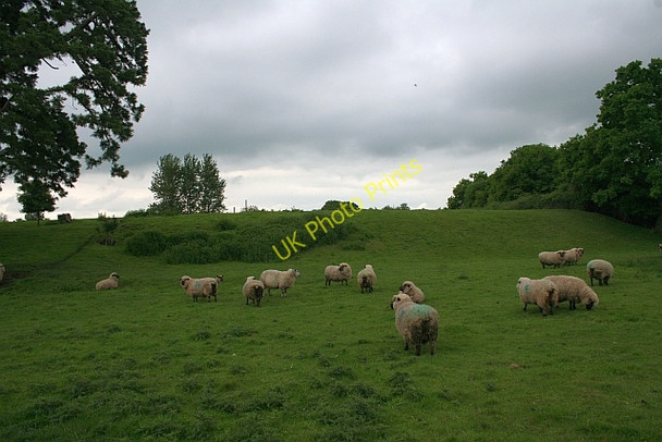 Photo 6"x4" Castle (site of), Hanley Castle Church End\/SO8341 c2008