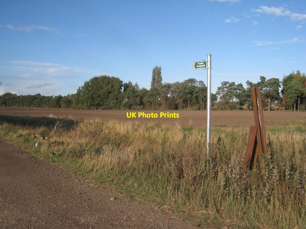 Photo 6"x4" Footpath to Misterton Misterton\/SK7694 c2011