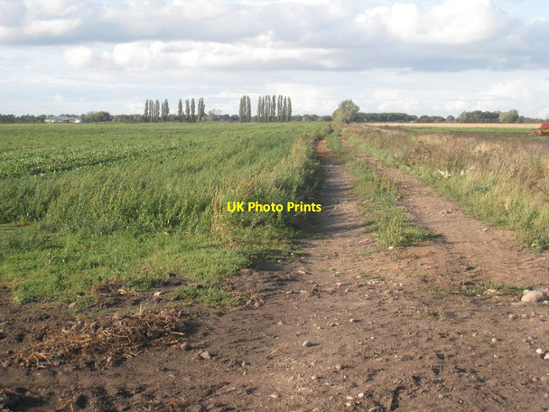 Photo 6"x4" Farm track to Cornley Road Langholme\/SK7597 c2011