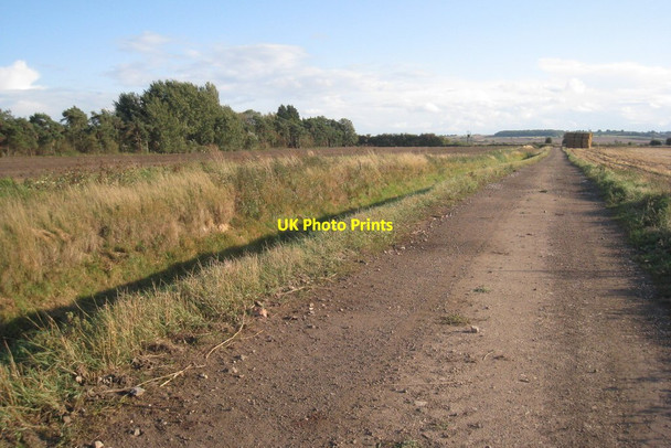 Photo 6"x4" Farm track near Cattle Farm (2) Misterton\/SK7694 c2011