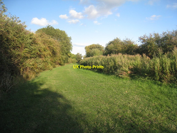 Photo 6"x4" Canal towpath Misterton\/SK7694 c2011