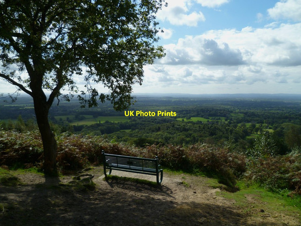 Photo 6"x4" Seat on the summit of Pitch Hill with view Peaslake c2011