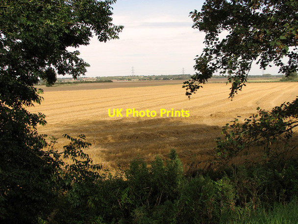 Photo 6"x4" Fenland east of Setchey Setchey c2011