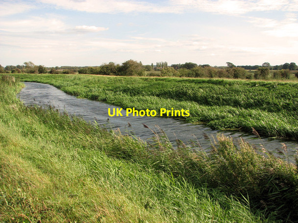 Photo 6"x4" Reeds growing in the River Nar, Setchey Setchey c2011