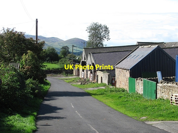Photo 6"x4" North Doddington Farm Doddington\/NT9932 c2011