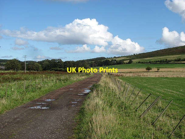 Photo 6"x4" Farm track, Doddington Doddington\/NT9932 c2011