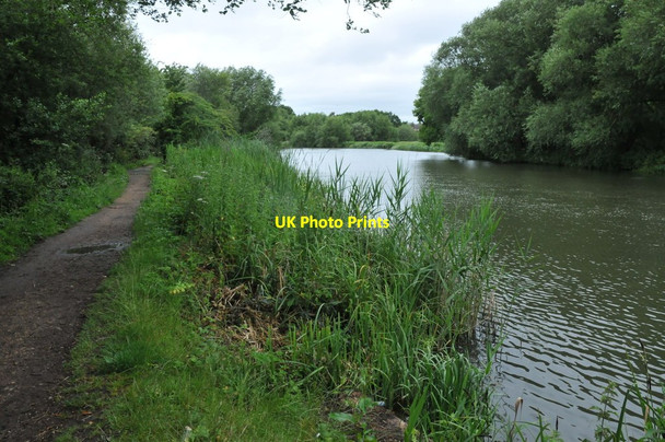 Photo 6"x4" The River at Sandford-on-Thames Little London\/SP5201 c2011