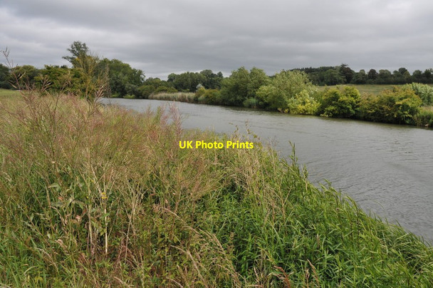 Photo 6"x4" The Thames near Radley Lower Radley c2011