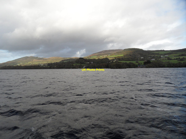 Photo 6"x4" Lough Derg Shoreline in Derry Demesne, Co. Tipperary Killaloe c2011