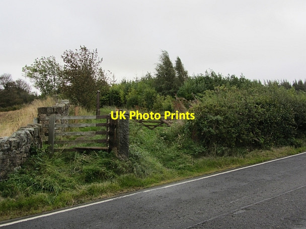 Photo 6"x4" A northwards extension of Beecraigs Woods Linlithgow c2011