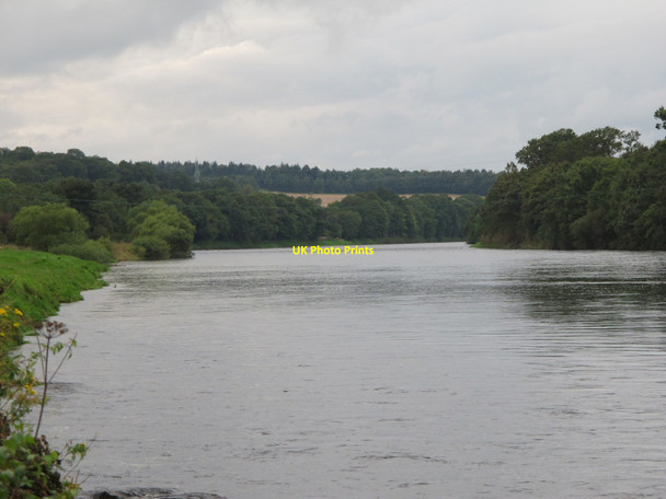 Photo 6"x4" River Tay at Woody Island Muirton\/NO1025 c2011