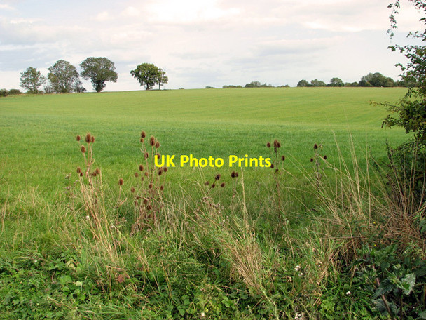 Photo 6"x4" Field east of Lord's Wood, Weybread Upper Weybread c2011