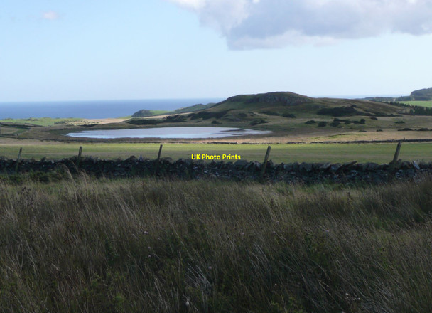 Photo 6"x4" Dry stone wall and pasture Old Cambus c2011