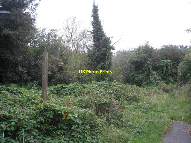 Photo 6"x4" Footpath at Brine's Brow Woodside\/SJ5270 c2011