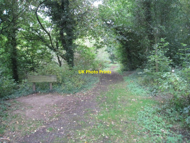 Photo 6"x4" Woodland Track at Brine's Brow Woodside\/SJ5270 c2011