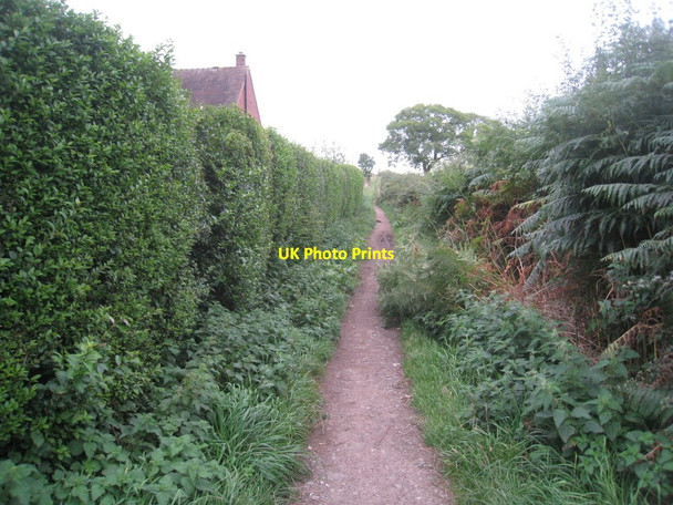 Photo 6"x4" Footpath at Manley Common Manley Common c2011