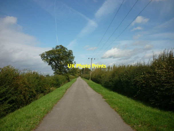 Photo 6"x4" Drove Lane towards Carr House Meaux c2011