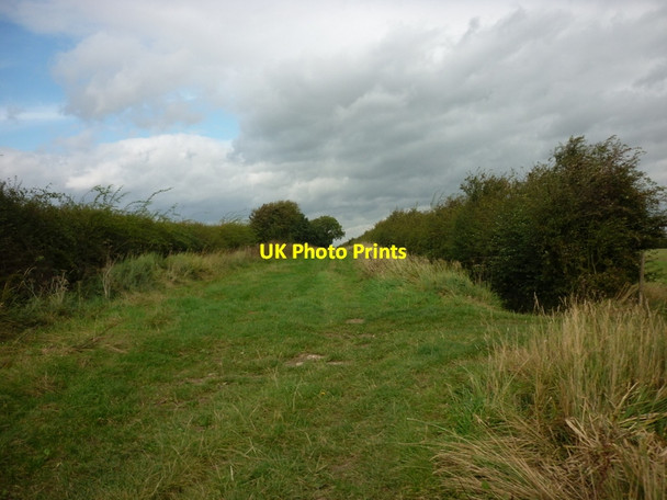 Photo 6"x4" Park Lane towards Tickton Weel c2011
