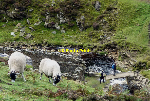 Photo 6"x4" Crossing the slab bridge at Blakethwaite Mine Gunnerside c2011