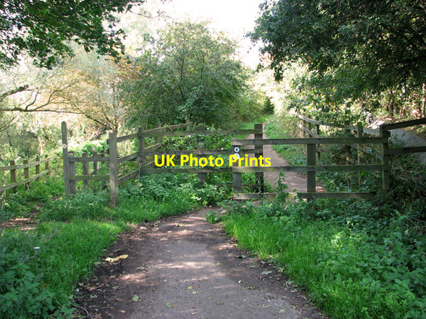 Photo 6"x4" Two footpaths, Silfield Wymondham\/TG1101 c2011