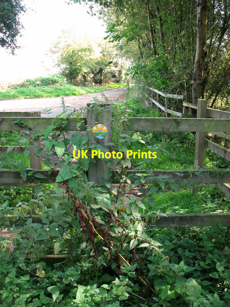 Photo 6"x4" Footpath from Wymondham to Silfield Wymondham\/TG1101 c2011