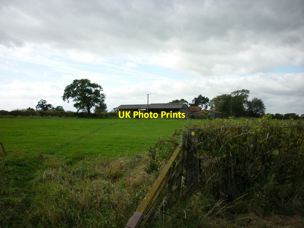 Photo 6"x4" A path leading to Corporation Farm Beverley c2011