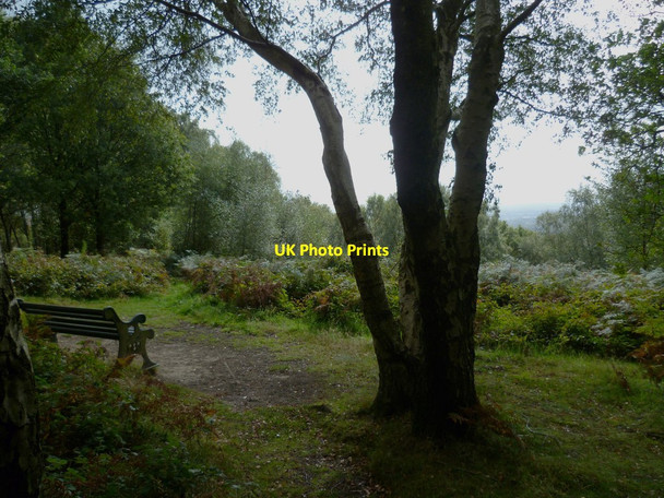 Photo 6"x4" Memorial seat at viewpoint on Winterfold Hill Rowly c2011