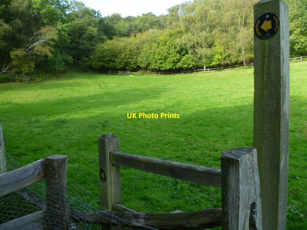 Photo 6"x4" Footpath across field at Lapscombe Farm Rowly c2011