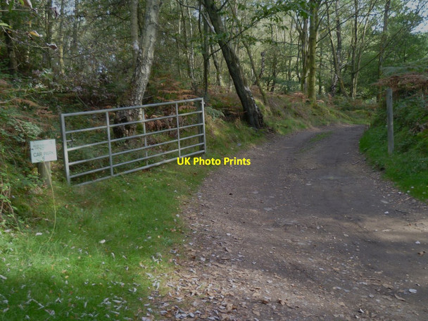 Photo 6"x4" Entrance to Hurtwood Control Car Park number 6 Rowly c2011