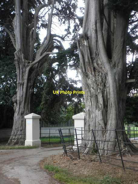 Photo 6"x4" Main entrance, Cutsey House Budleigh c2011
