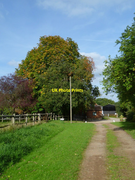 Photo 6"x4" Footpath reaches East Whipley Farm Grafham\/TQ0241 c2011