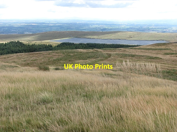 Photo 6"x4" Southern slopes of Meikle Bin Bin Bairn c2011