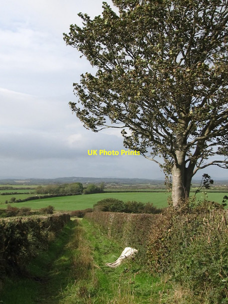 Photo 6"x4" Field access lane leading from the Ballyedock Road Ardglass c2011