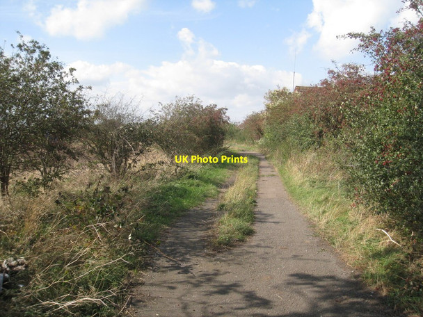 Photo 6"x4" Footpath to Hawton Newark-on-Trent c2011