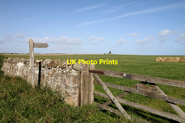 Photo 6"x4" Farmland at Elwick Elwick\/NU1136 c2011
