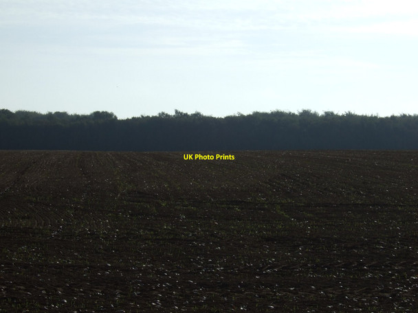 Photo 6"x4" Farmland towards Melton Wood Barnburgh c2011