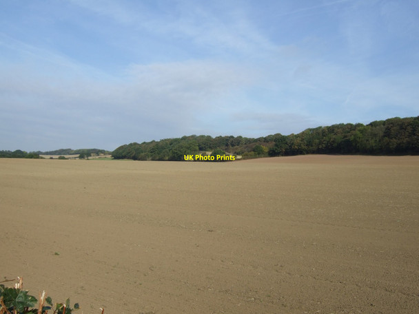 Photo 6"x4" Farmland off St Helen's Lane Barnburgh c2011