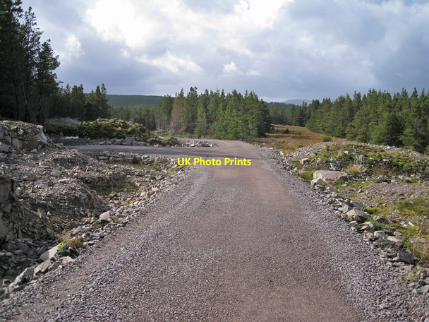 Photo 6"x4" New track into the forest Ashaig\/Athaiseig c2011