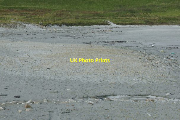 Photo 6"x4" Embryonic dune, Easting Mailand c2011