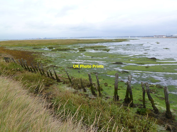 Photo 6"x4" Calshot, salt marsh Calshot c2011