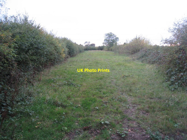 Photo 6"x4" Narrow field Gainsborough\/SK8189 c2011