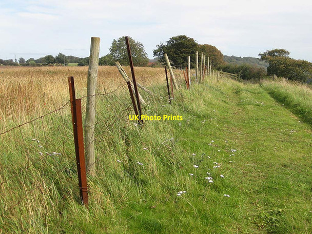 Photo 6"x4" Footpath East towards Hutton Hill Farm Crambeck c2011