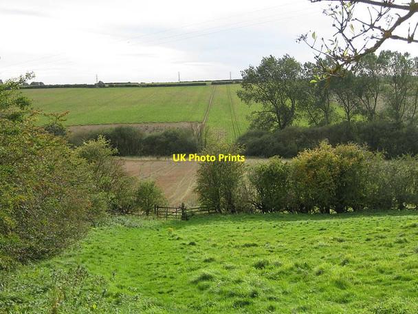 Photo 6"x4" View across the valley Crambeck c2011
