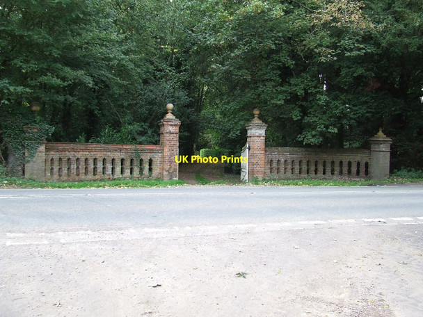Photo 6"x4" Nice Entrance Hibb's Green c2011