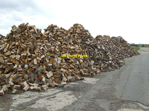 Photo 6"x4" Log Pile Smithwood Green c2011