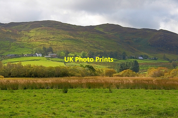 Photo 6"x4" Field near Ulcat Row Matterdale End c2011